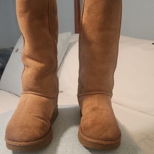 UGG Chestnut Suede Winter Boots